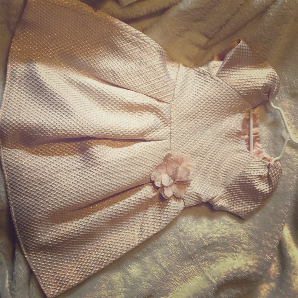 Children’s place 4t rose gold dress